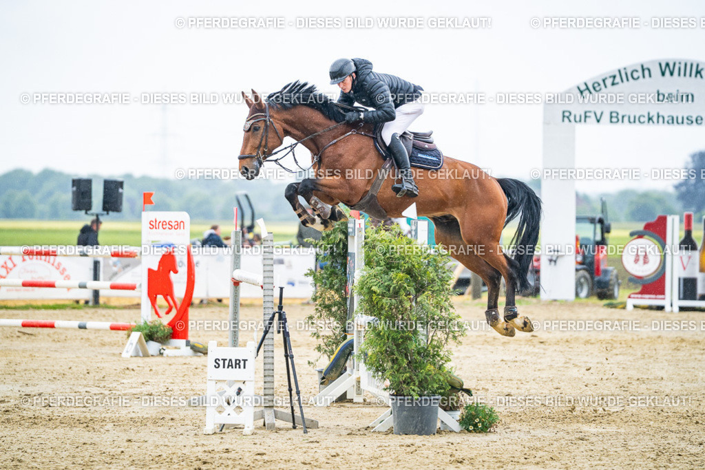 DSC09565 | Pferdegrafie