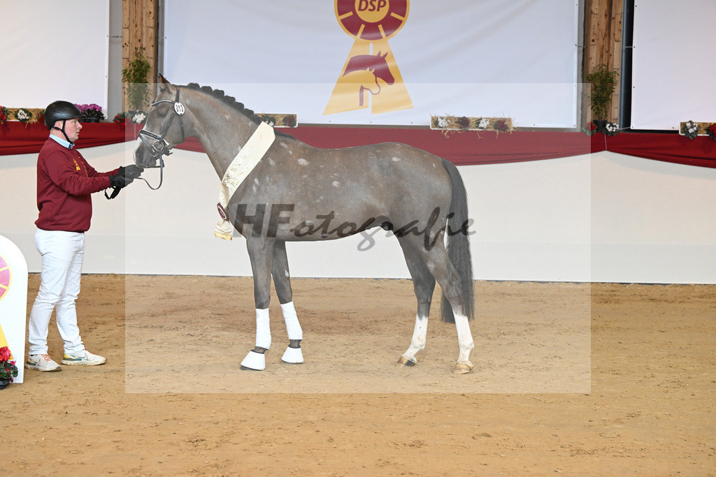 Kat-Nr. 13 Comme il faut NRW_PBM Pfefferle GmbH_1231781 | hf-fotografie - Realisiert mit Pictrs.com