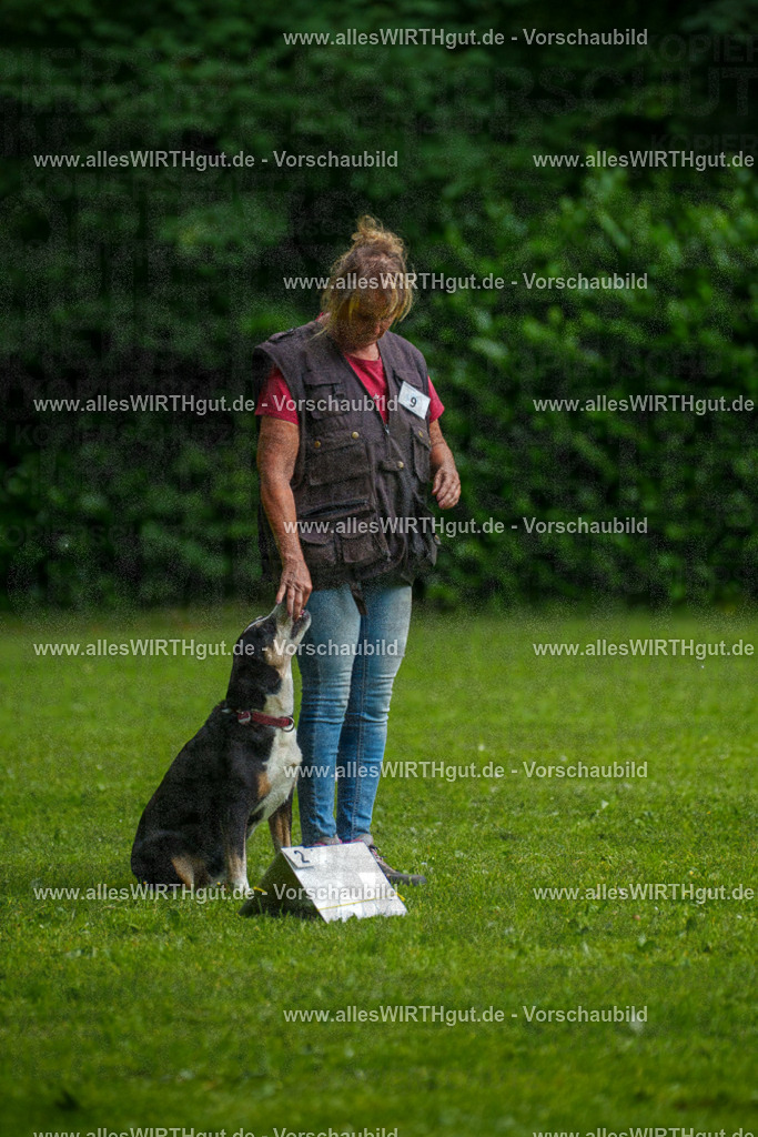@allesWIRTHgut_Tierfotografie - www.allesWIRTHgut.de - 7R503373 | Professionelle Tierfotografie in Mönchengladbach von Daniel Wirth (allesWIRTHgut). Liebevolle & natürliche Bilder von Hunden & Katzen für unvergessliche Erinnerungen.