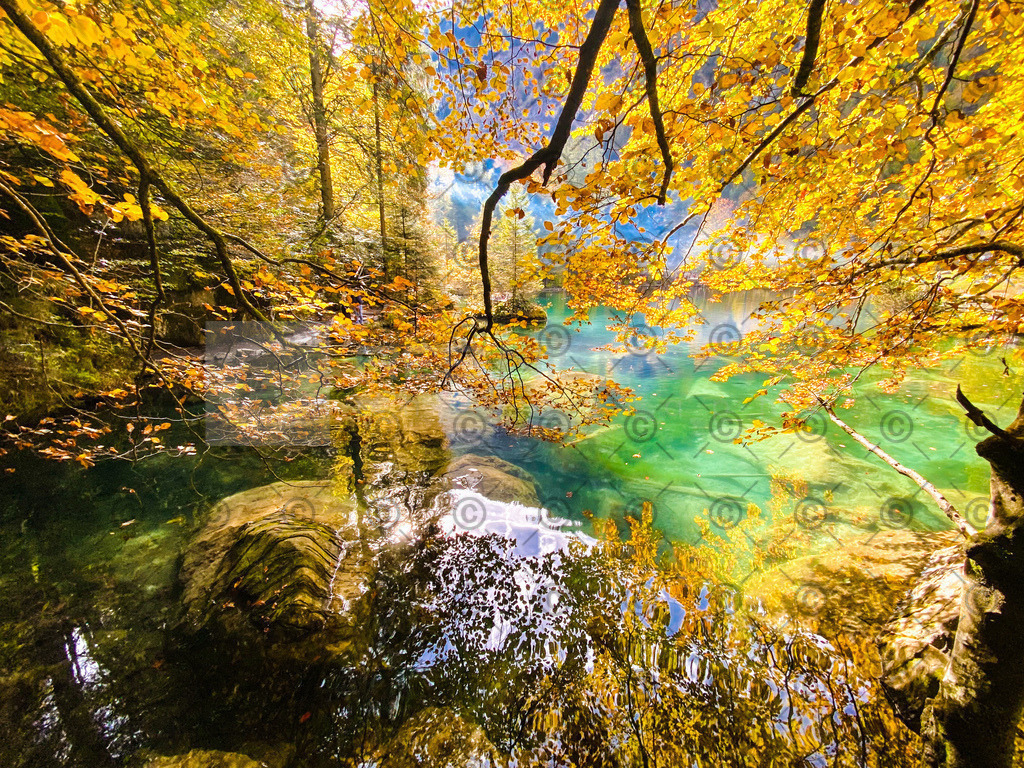 IMG_1265_jpg | Res Niemeyer Photography - Realisiert mit Pictrs.com