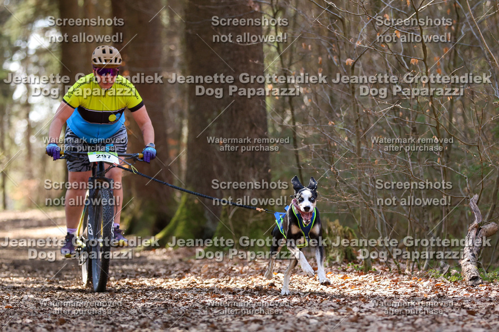Dog Paparazzi - VCC26-1380 | Dog Paparazzi Jeanette Grottendiek Fotografie & Videografie - Realisiert mit Pictrs.com