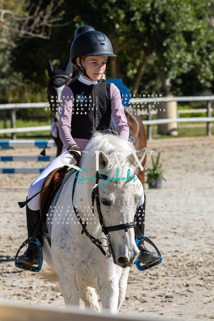 IMG_8850 | s-jay-photography - Realisiert mit Pictrs.com