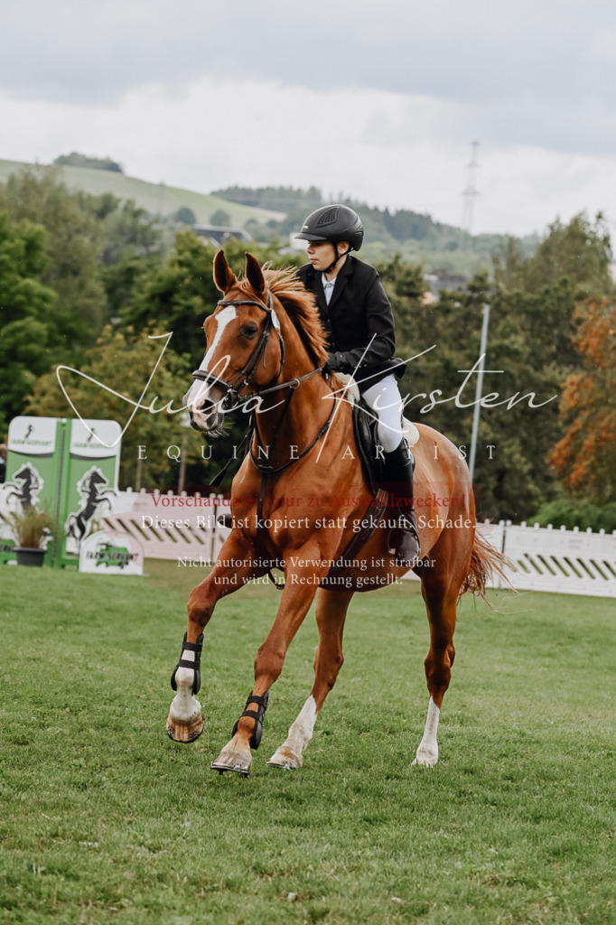 DSC_6860 | Pferde- und Turnierfotografie in Westsachsen. Pferdeportraits, Auftragszeichnungen und intuitive Kunst.
