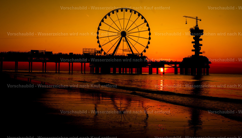 DSC04975-Enhanced-NR-2 | marcuslinek