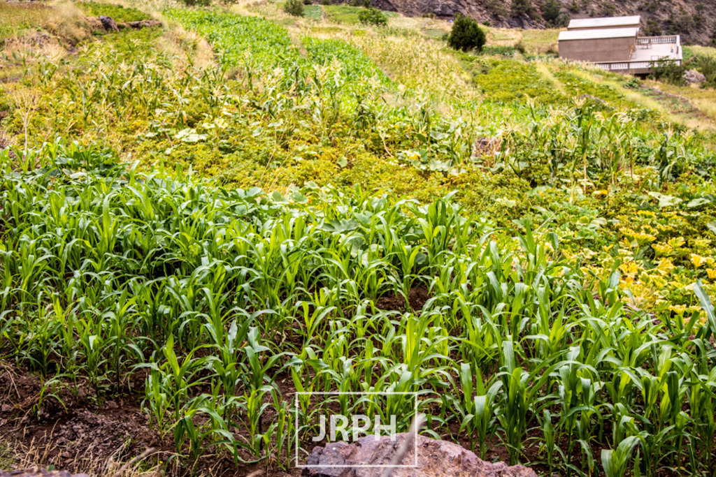 IMG_8263 | jrph - Realisiert mit Pictrs.com