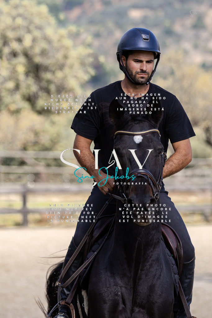 IMG_3395 | s-jay-photography - Realisiert mit Pictrs.com