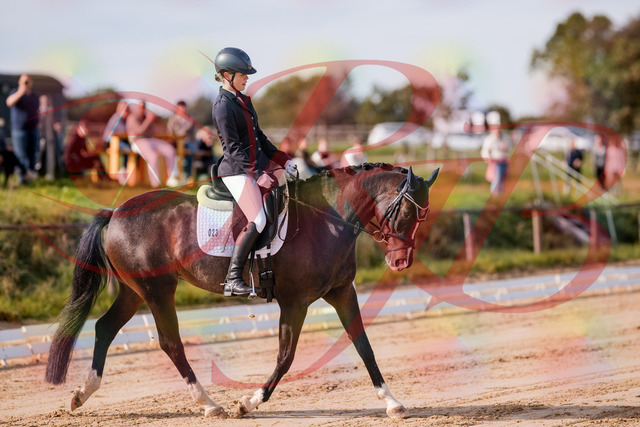 2026_10_03_Siefer-Hof_113428_Z81_79100052 | Professionelle Reitsport-, Turnier- und Eventfotografie von Robert Broda. Galerien mit ausgewählten und bearbeiteten Bildern direkt online ansehen und bestellen.