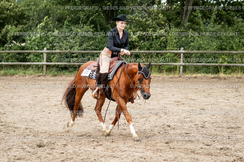 DSC02591 | Pferdegrafie