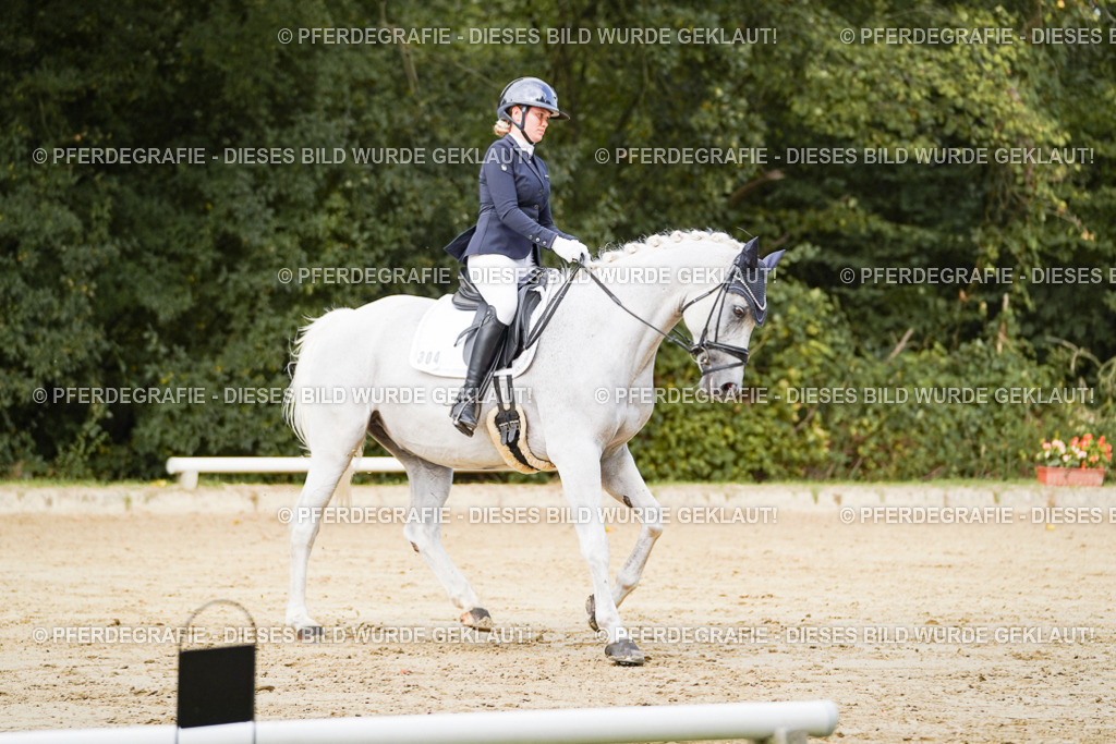 DSC02754 | Pferdegrafie