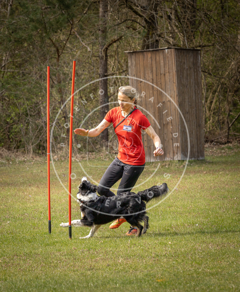 Pfotenfotografie_DV3A7675 | Hundefotografie, Tierfotograf, Pfotenfotografie, Fotoshooting Hund, Hunde Portrait, Hundesport, Hundeportraits, Heideshooting, Hunde, Sportfotograf, Hundefotograf, Turnierhundsport, THS,  - Realisiert mit Pictrs.com