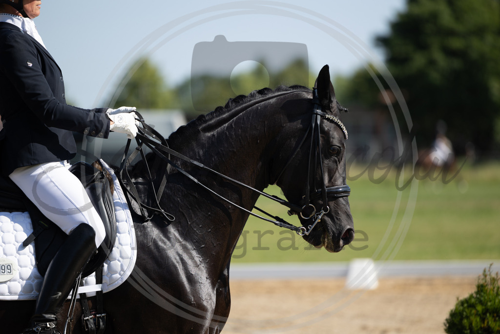 994A3785 | sabrinanicolaifotografie - Realisiert mit Pictrs.com