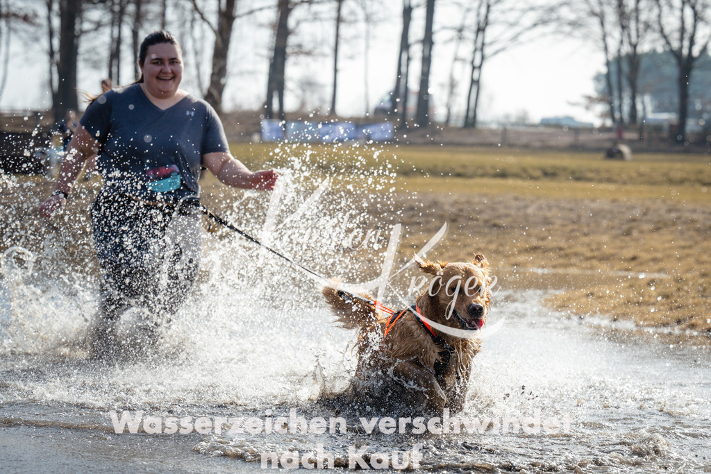 1132_ZZ95296 | kk-dogfotos