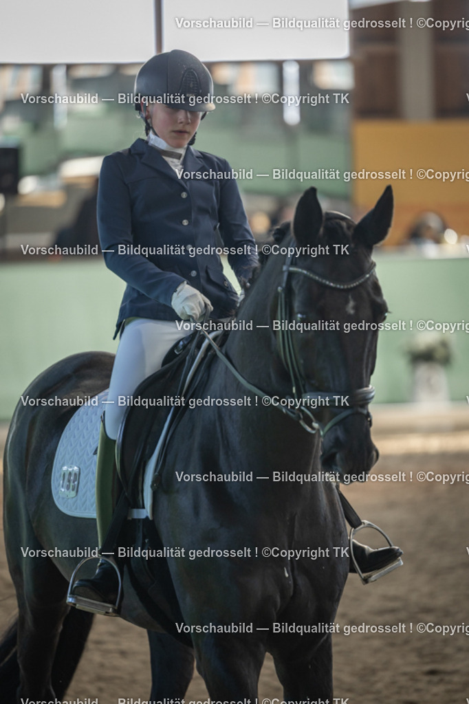 _D5A8250 | Emotionale Pferde- & People-Fotografie rund um Heidelberg, Leimen & Umgebung. Natürliche Fotos von Pferd, Mensch & Familie. Jetzt Termin sichern!