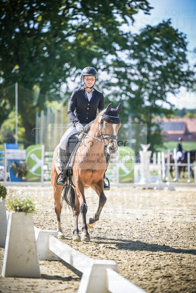 DOS_2014 | Entdecke hochwertige Reitturnierfotos von Foto Oger. Professionell, emotional und authentisch – jetzt Lieblingsmomente im Shop bestellen.Deutschlandweite Turnierfotografie. - Realisiert mit Pictrs.com