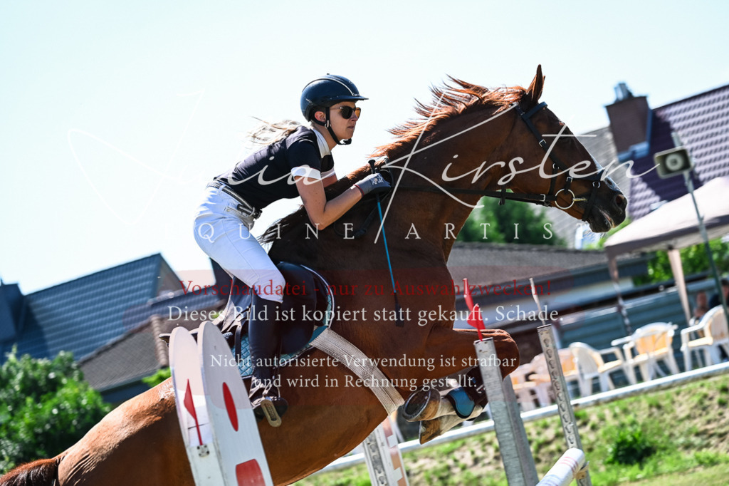 DSC_1260 | Pferde- und Turnierfotografie in Westsachsen. Pferdeportraits, Auftragszeichnungen und intuitive Kunst.