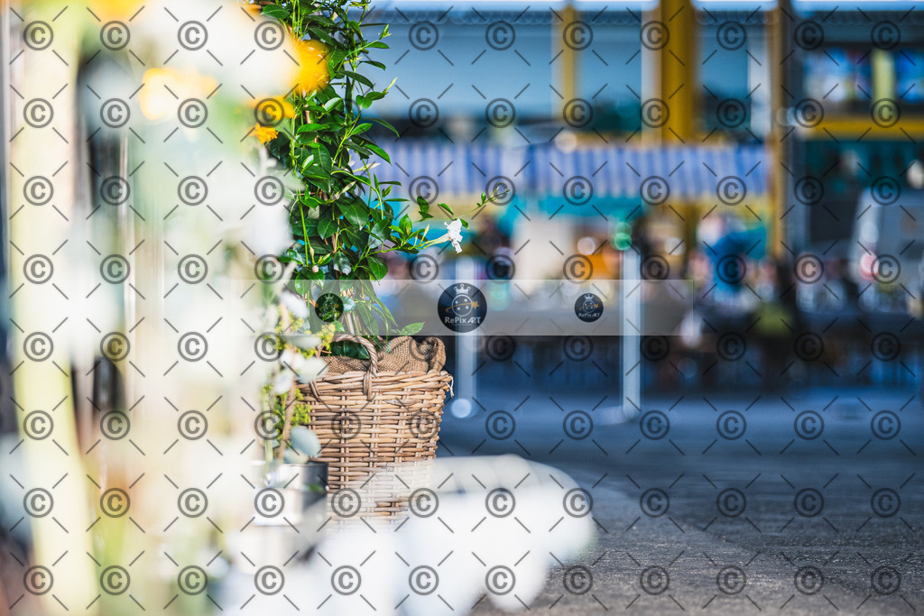 20260620_Aeschlimann AG_055-338 | Sport und Naturfotografie von Roberto Esposito zeigt echte Momente Bewegung und die Schönheit der Natur. Ausdrucksstarke Bilder schaffen Emotionen.