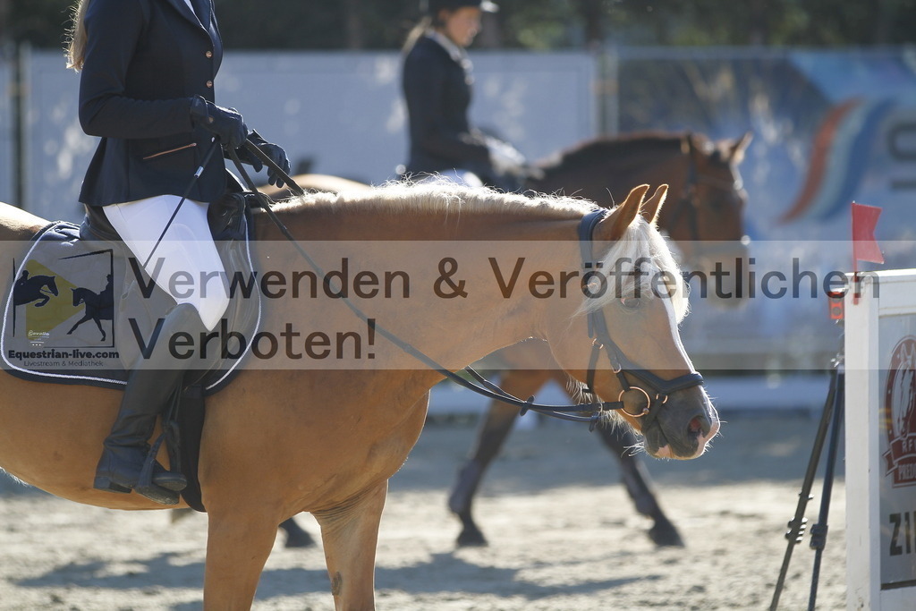 _MG_1346 | equestrian-live-com