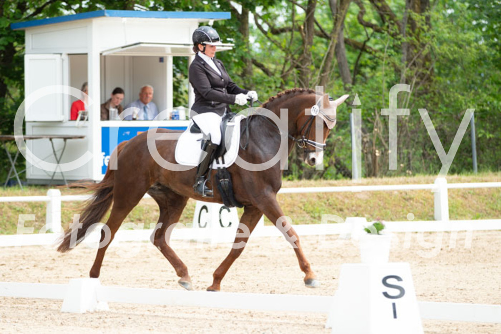 IMG_0909 | Creatify Fotografie