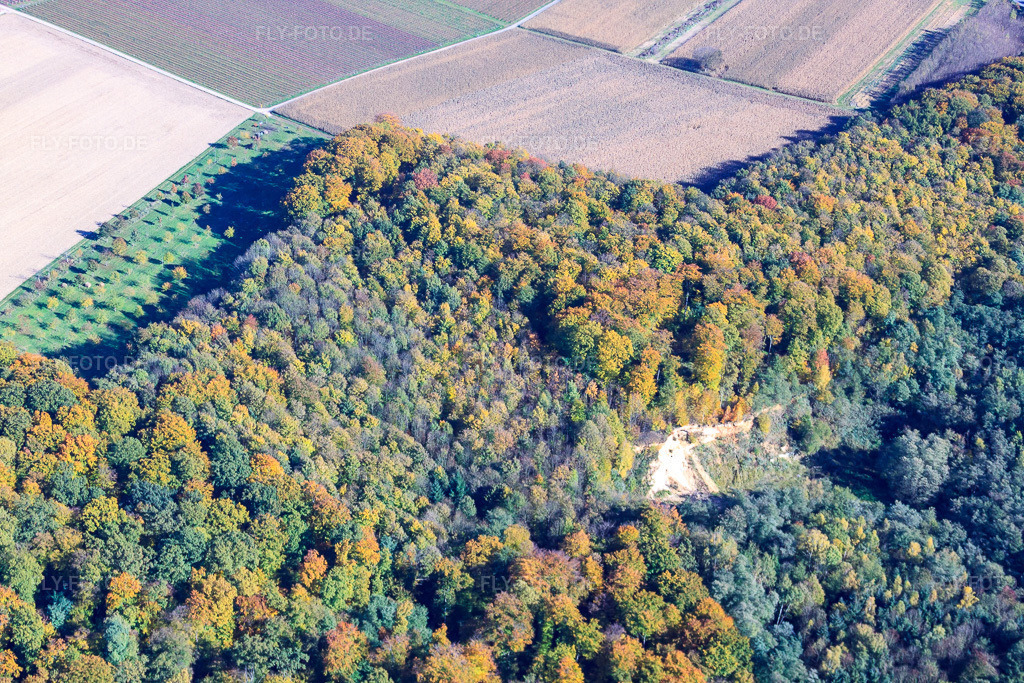Luftbild: Sandgrube im Wald im Ortsteil Ingenheim in Billigheim-Ingenheim im Bundesland Rheinland-Pfalz in Deutschland. Foto: IMG_34837.jpg vom 26.10.2010 durch Werner Riehm/FLY-FOTO.de