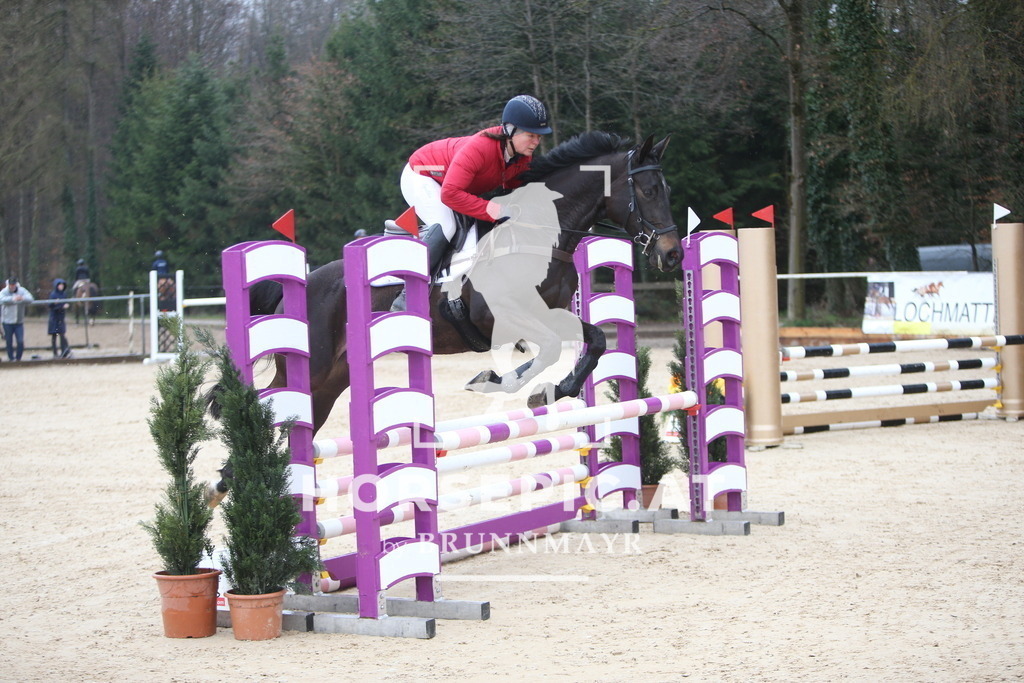 AS8V9277 | Willkommen bei Brunnmayr - Design & Fotografie – Ihrem Spezialisten für Reitturniere und Pferdeveranstaltungen in Oberösterreich, Salzburg und Bayern! Seit über 17 Jahren sind wir leidenschaftlich dabei.