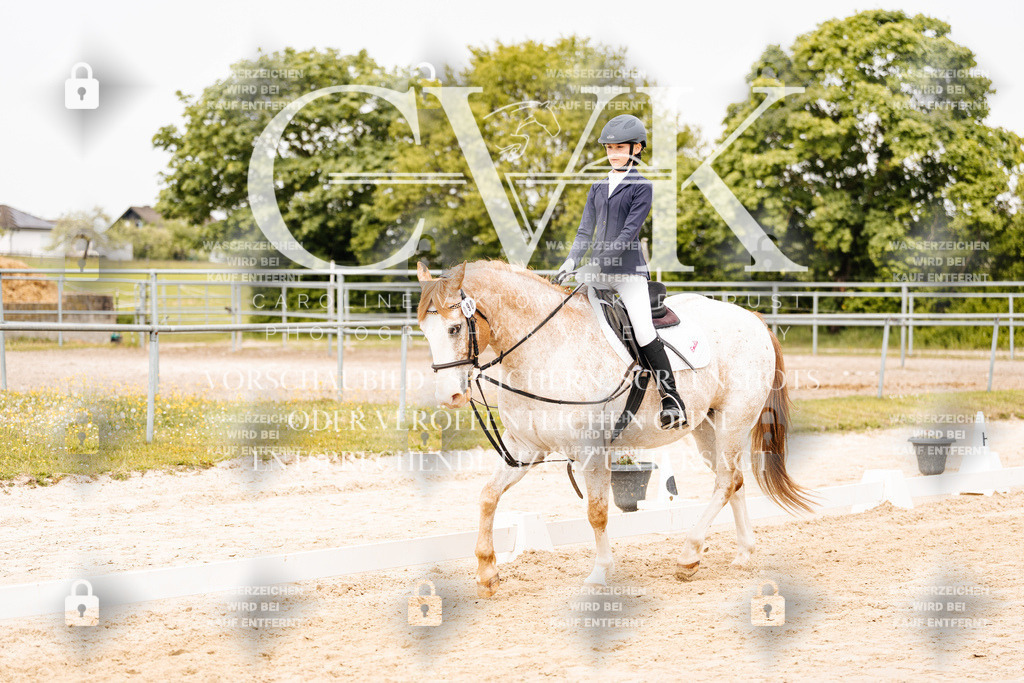 CK904214 | Turnierfotografie Pferdefotografie Trier Rheinland-Pfalz Pferdesport Reitsport Tierfotografie Sportfotografie Pferdevideo Pferdevideografie Equestrianvideography equestrianphotography  - Realisiert mit Pictrs.com