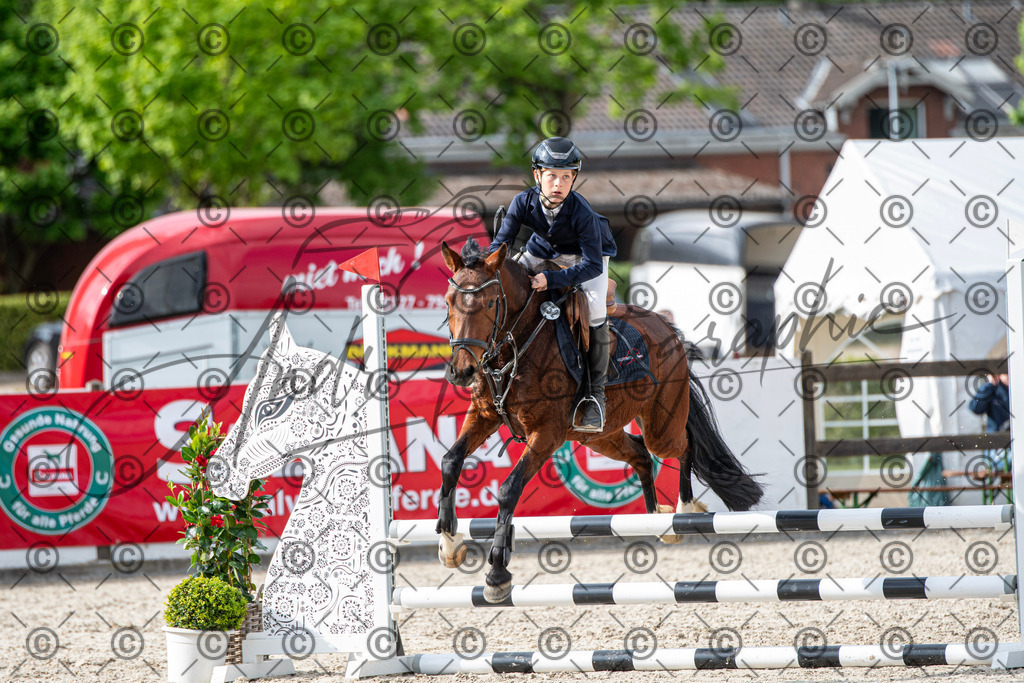 KPT_6732 | andre_photographic