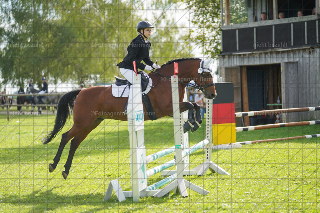 20230917-FAH09133 | Landsberg am Lech, 2023, Kaufbeuren, Kempten, Allgäu, Turnierfotografen Bayern, Fotoagentur Herrmann, Turnierbilder, Reitsport Fotos, Pferdefotograf, Augsburg, Bad Tölz, Dachau, Karlsfeld, Memmingen, Buchloe, Schwabmünchen