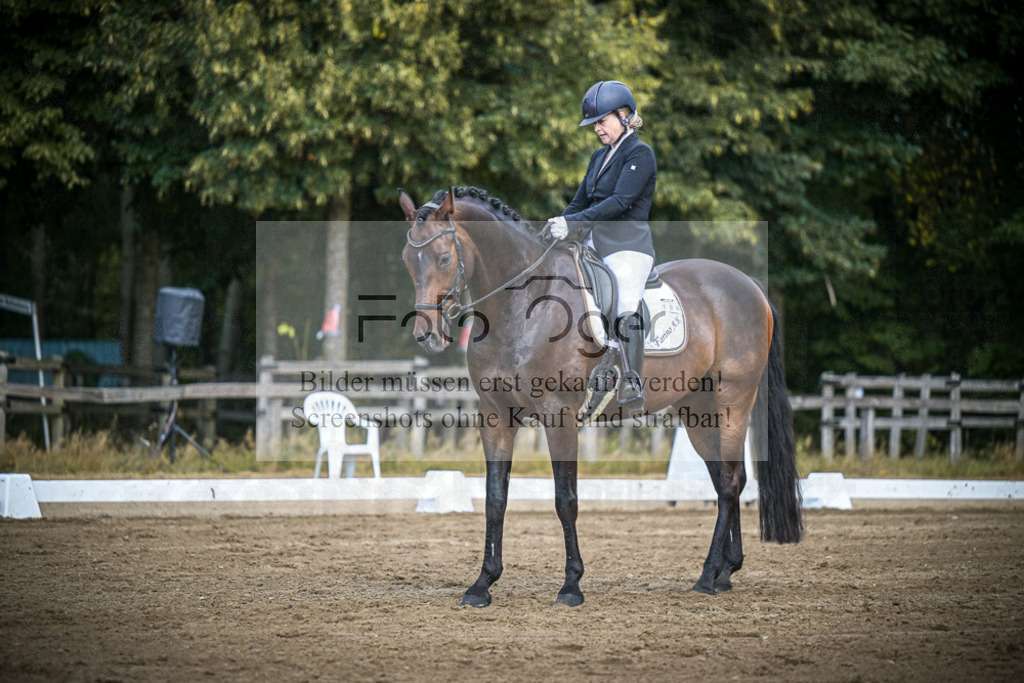 DOS_4149 | Entdecke hochwertige Reitturnierfotos von Foto Oger. Professionell, emotional und authentisch – jetzt Lieblingsmomente im Shop bestellen.Deutschlandweite Turnierfotografie. - Realisiert mit Pictrs.com