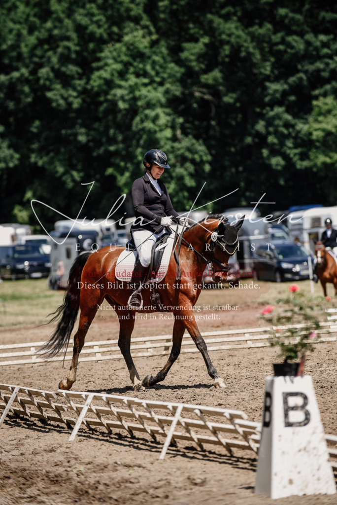 DSC_1883 | Pferde- und Turnierfotografie in Westsachsen. Pferdeportraits, Auftragszeichnungen und intuitive Kunst.