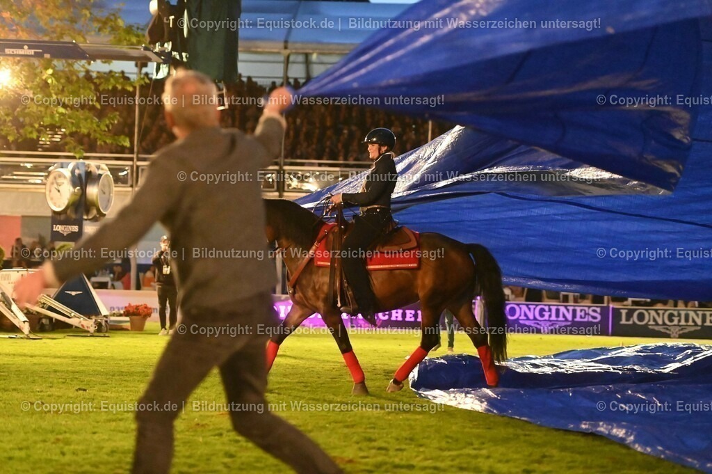 20230526_Pferdenacht_1073 | equistock