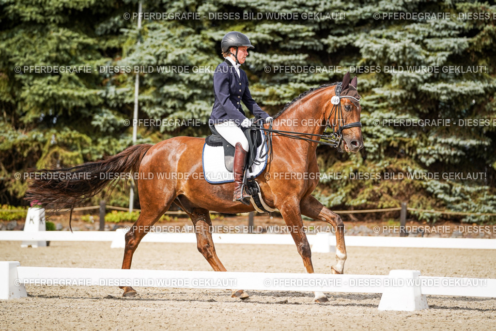 DSC06969 | Pferdegrafie