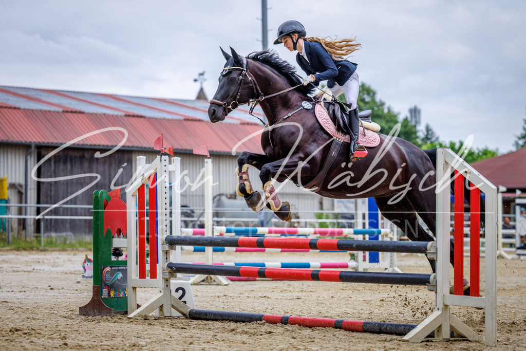 20260705-_3LI3586 | Tierfotografie Pferde, Hunde, Katzen, Haustiere.
Turnierfotografie Reitturniere, Reiten, Springreiten, Dressur in Hanau, dem Main-Kinzig-Kreis und dem Rhein-Main- Gebiet um Frankfurt