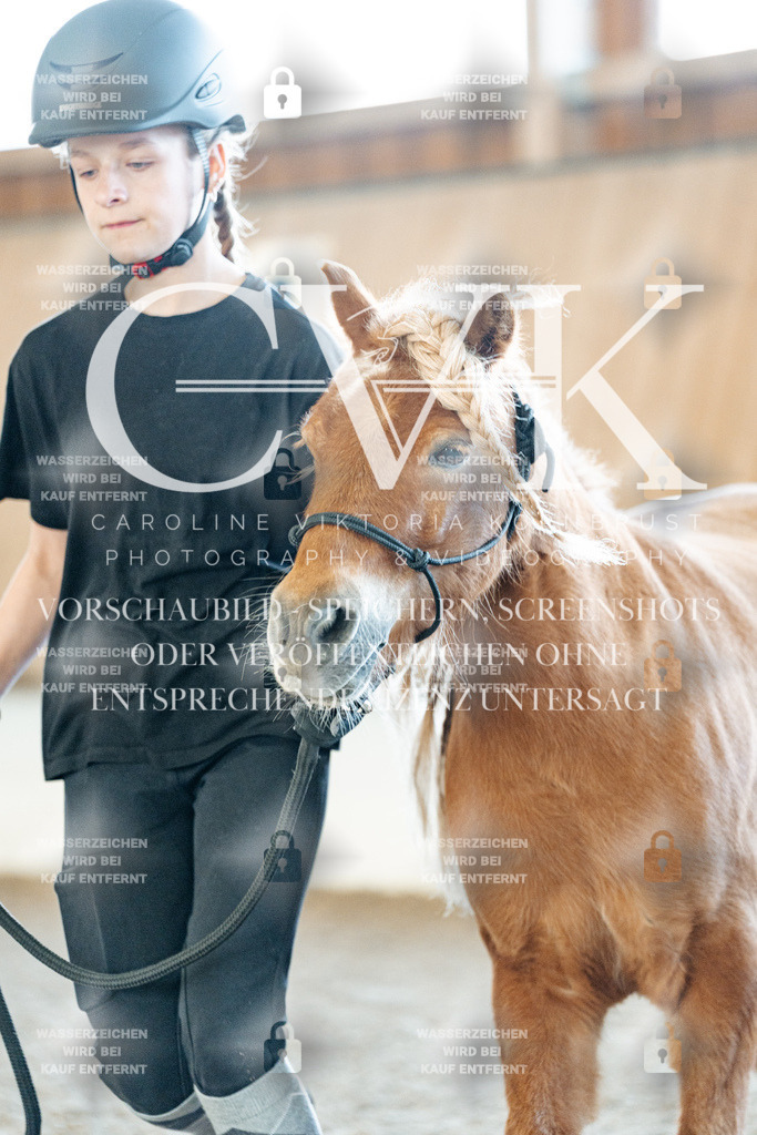 CK905217 | Turnierfotografie Pferdefotografie Trier Rheinland-Pfalz Pferdesport Reitsport Tierfotografie Sportfotografie Pferdevideo Pferdevideografie Equestrianvideography equestrianphotography  - Realisiert mit Pictrs.com