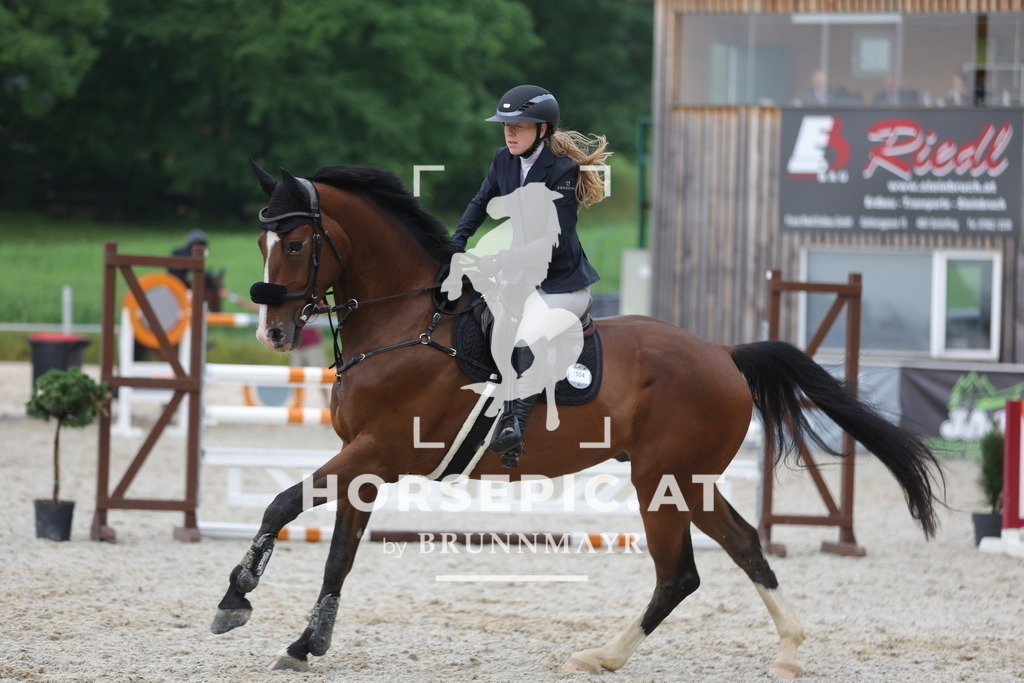 0P6A0410 | Willkommen bei Brunnmayr - Design & Fotografie – Ihrem Spezialisten für Reitturniere und Pferdeveranstaltungen in Oberösterreich, Salzburg und Bayern! Seit über 17 Jahren sind wir leidenschaftlich dabei.