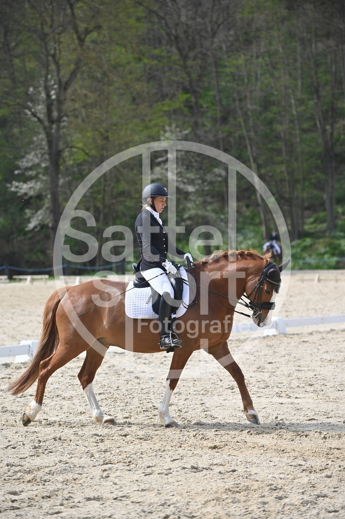 DSC_4619 | sattelsport - Realisiert mit Pictrs.com