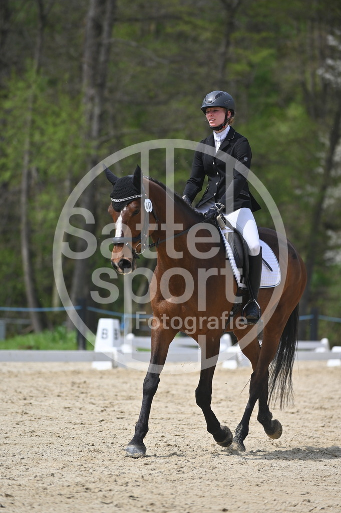 DSC_3177 | sattelsport - Realisiert mit Pictrs.com