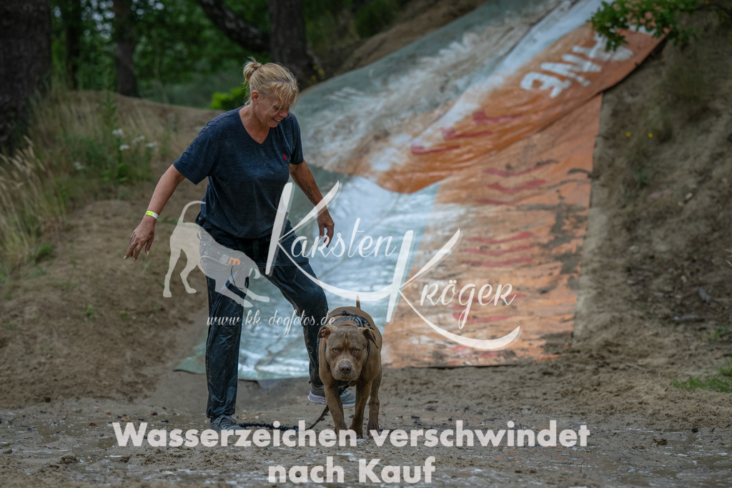 1650_ZZ90648-Bearbeitet | kk-dogfotos