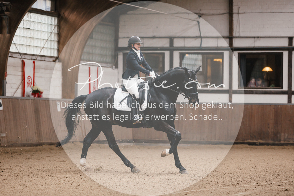 3I6A7103 | Stimmungsvolle Portraits und Reitsportfotografie im Ruhrgebiet und im Münsterland.

Pferdefotografie, Hundefotografie, Tierfotografie, Reportagen, Portraits von Tier und Mensch, Turnierfotografie in Bochum, Recklinghausen, Marl, Haltern am See, Dülmen.. - Realisiert mit Pictrs.com