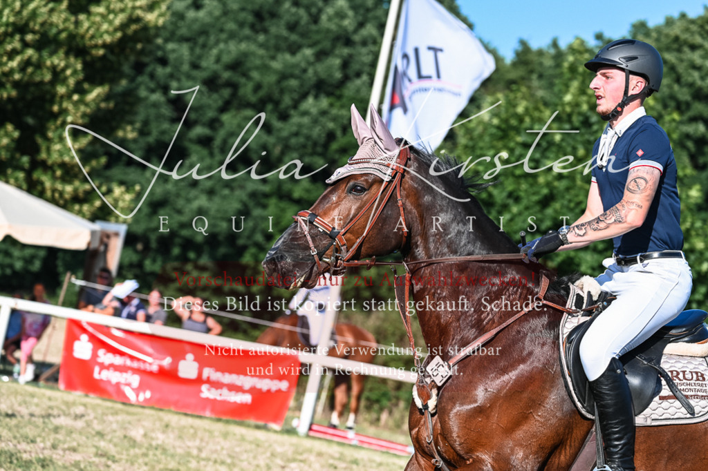 DSC_2942 | Pferde- und Turnierfotografie in Westsachsen. Pferdeportraits, Auftragszeichnungen und intuitive Kunst.