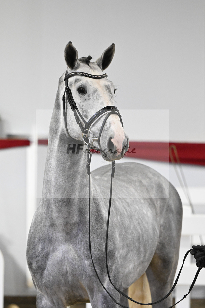 Kat-Nr. 38 v. Cizero Z_PBM Pfefferle GmbH_63221162 | hf-fotografie - Realizzato con Pictrs.com