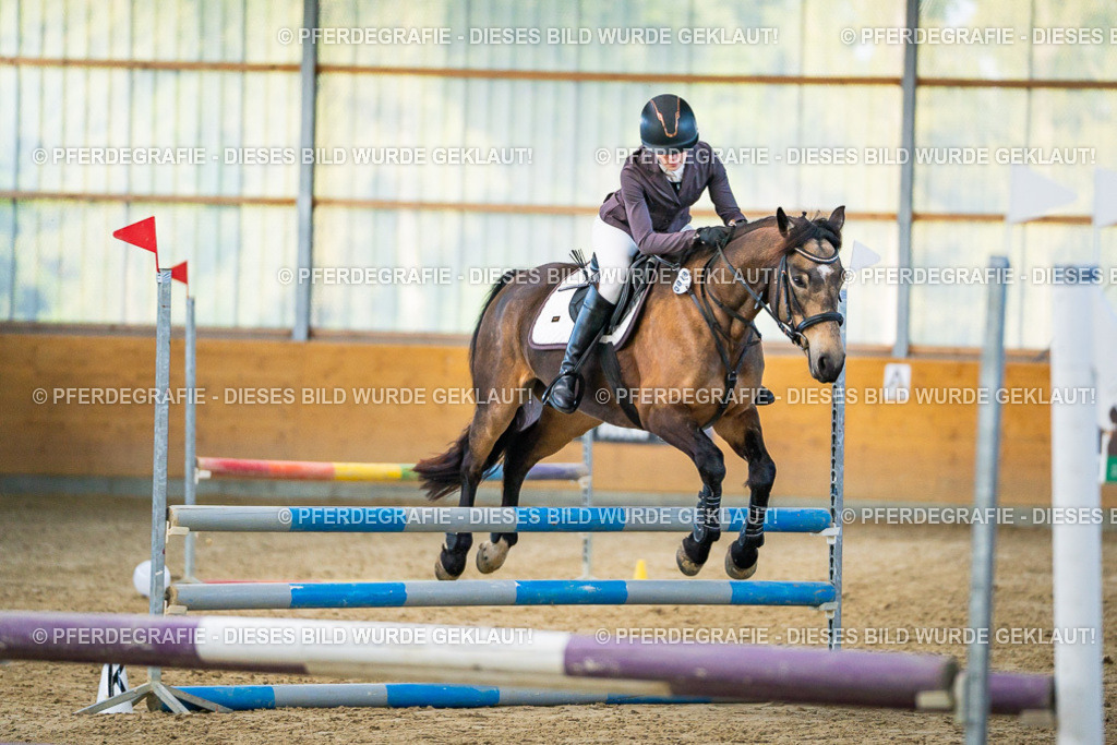 DSC00583 | Pferdegrafie