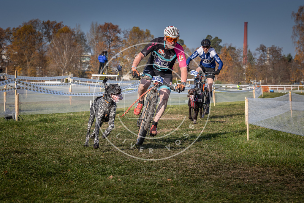 CaniXpix_0L8A7319 | Hundefotografie, Tierfotograf, Pfotenfotografie, Fotoshooting Hund, Hunde Portrait, Hundesport, Hundeportraits, Heideshooting, Hunde, Sportfotograf, Hundefotograf, Turnierhundsport, THS,  - Realisiert mit Pictrs.com