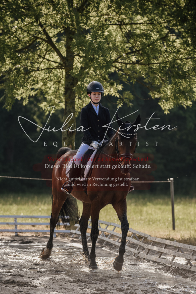 DSC_7941 | Pferde- und Turnierfotografie in Westsachsen. Pferdeportraits, Auftragszeichnungen und intuitive Kunst.
