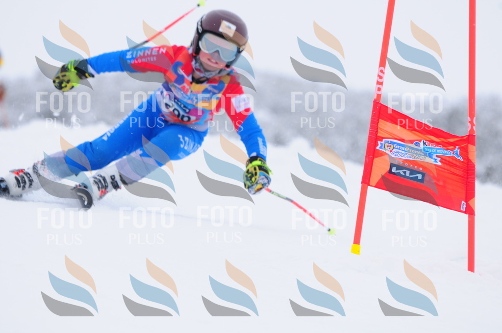 C3123 | holidayphoto