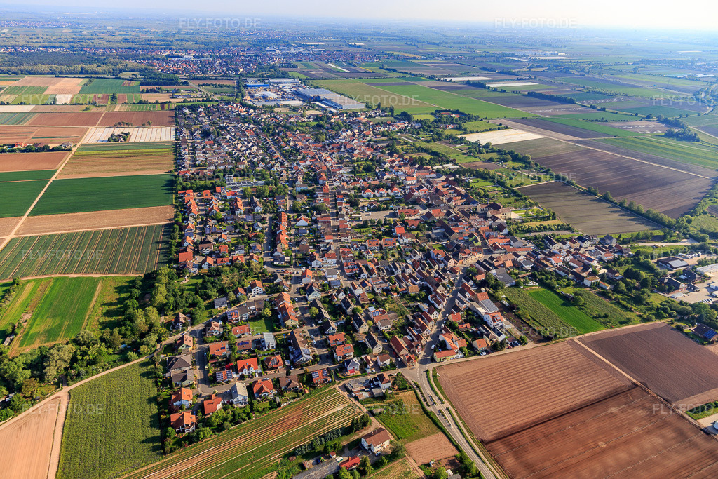 Luftbild: Ortsansicht aus Süden in Fußgönheim im Bundesland Rheinland-Pfalz in Deutschland. Foto: IMG_114199.jpg vom 26.05.2019 durch Werner Riehm/FLY-FOTO.de