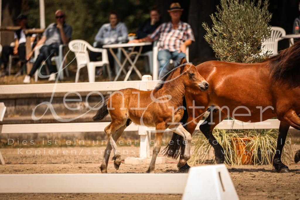 02.DoSR00125 | Leoni Ertmer Photography - Realisiert mit Pictrs.com