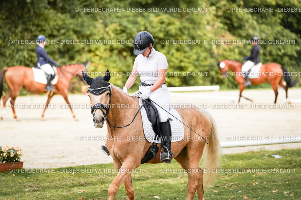 DSC01424 | Pferdegrafie