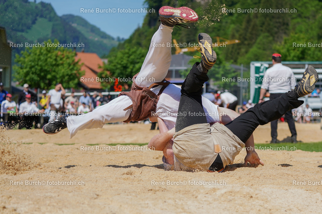 20220515-DSC06926-2 | René Burch leidenschaftlicher Fotograf aus Kerns in Obwalden.  Hier finden sie Sport, Landschaft und Natur Fotografie.
 - Realisiert mit Pictrs.com