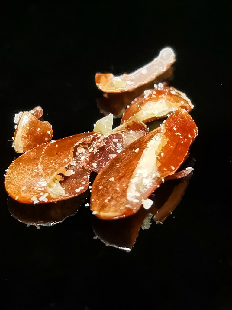 PSX_20230131_225934 | mtkfoto_ - Realisiert mit Pictrs.com