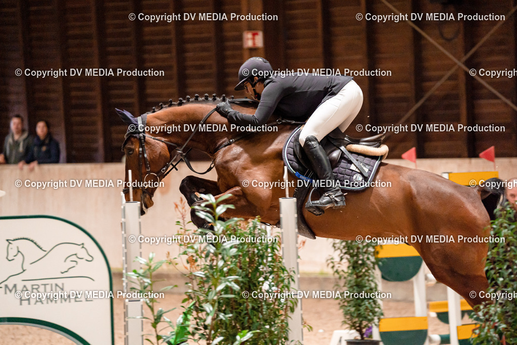 Springen Tag 1-268 | dv-media-shop - Realisiert mit Pictrs.com